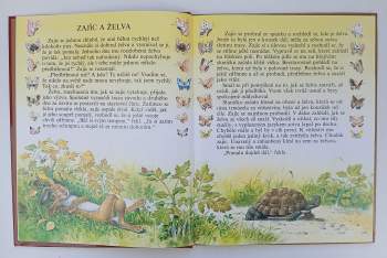 Tony Wolf: Zajíc a želva a jiné pohádky