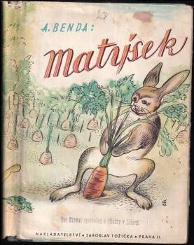 Zajíček Matýsek
