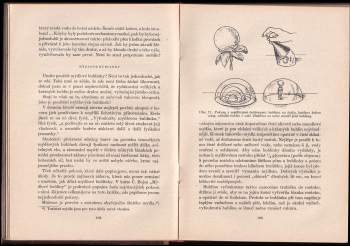 Jakov Isidorovič Perel'man: Zajímavá fysika