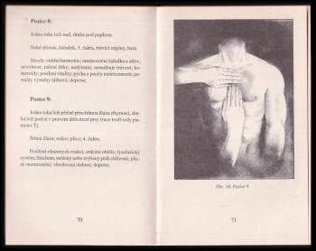 Walter Lübeck: Základní kniha o reiki