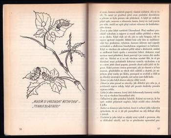 Walter Lübeck: Základní kniha - Spirituální NLP