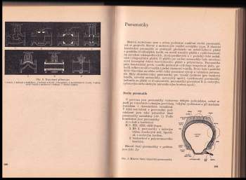 František Cimbůrek: Základní kvalifikační učebnice - motorismus