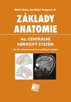 Základy anatomie
