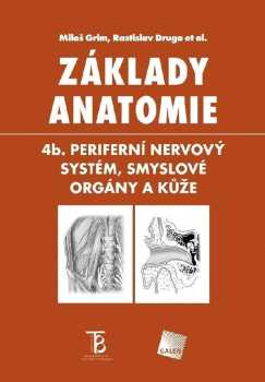 Základy anatomie