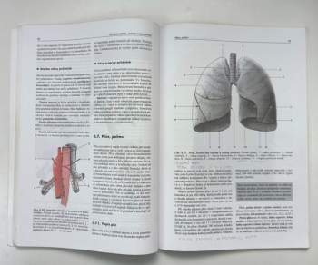Miloš Grim: Základy anatomie