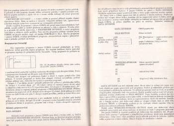Stanislav Adamec: Základy automatizace zpracování dat a vytváření automatizovaných systémů řízení