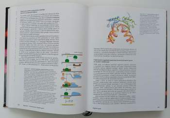 Bruce Alberts: Základy buněčné biologie
