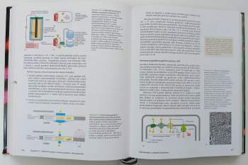 Bruce Alberts: Základy buněčné biologie