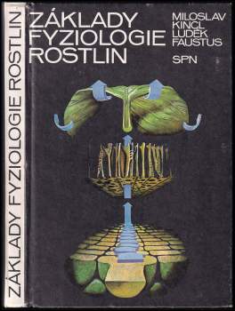 Základy fyziologie rostlin