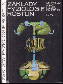 Základy fyziologie rostlin