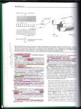 José Fernando Carneiro: Základy histologie