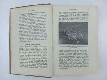 Antonín Benjamin Svojsík: Základy junáctví