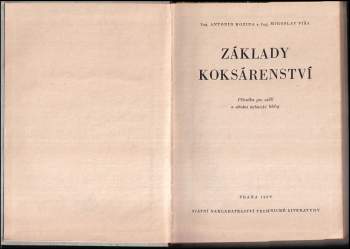 Miroslav Píša: Základy koksárenství