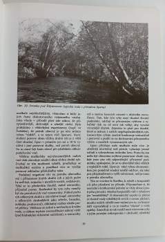 Miloš Zelinka: Základy muškaření
