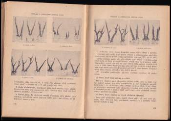 Josef Žalman: Základy myslivosti