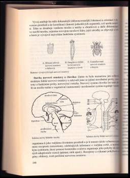 Milan Nakonečný: Základy psychologie