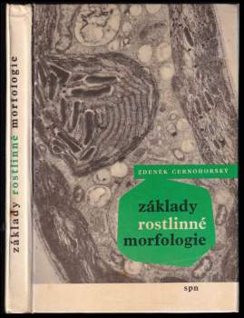 Základy rostlinné morfologie