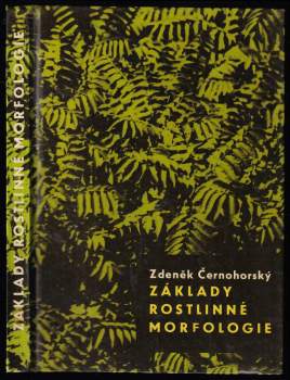Základy rostlinné morfologie