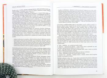 Oldřich Matoušek: Základy sociální práce