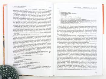 Oldřich Matoušek: Základy sociální práce