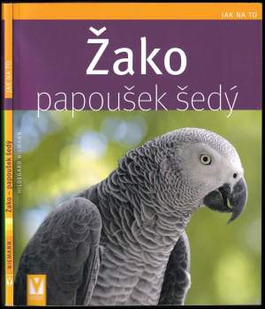 Žako - papoušek šedý