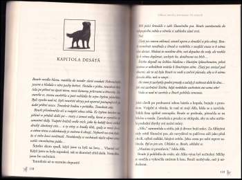 Erin Hunter: Ve stínech