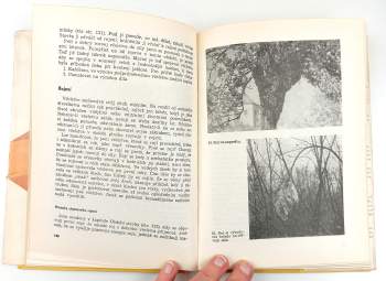 Otakar Brenner: Zákonitosti života včelstva