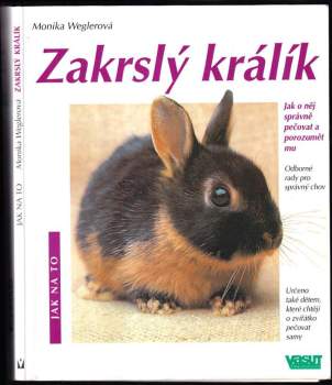 Zakrslý králík