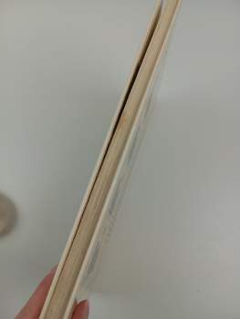 Eduard Škoda: Zákulisí velkoměsta