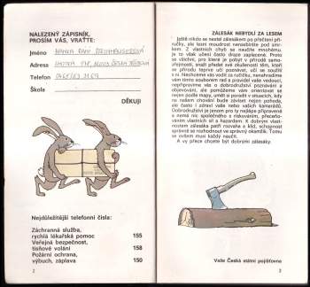 Edita Plicková: Zálesácký rok