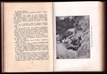 Zane Grey: Zálesák
