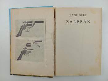 Zane Grey: Zálesák