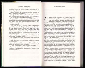 Johanna Lindsey: Zamilovaný ničema