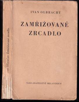 Zamřižované zrcadlo : román