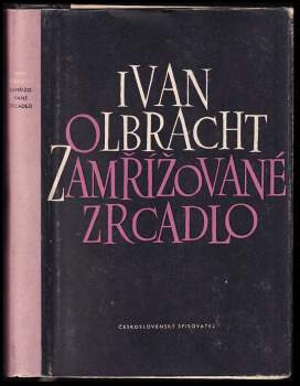 Zamřížované zrcadlo
