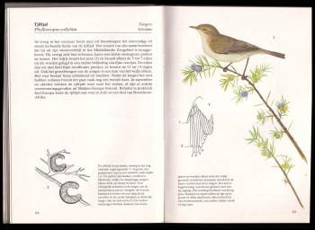 Karel Šťastný: Zangvogels