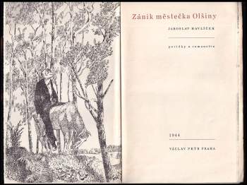 Jaroslav Havlíček: Zánik městečka Olšiny