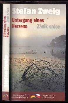 Zánik srdce