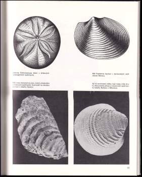 Jiřina Uhrová: Zaniklý život na Moravě