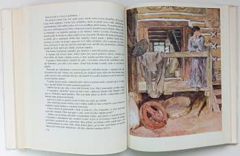 Karel Václav Rais: Zapadlí vlastenci