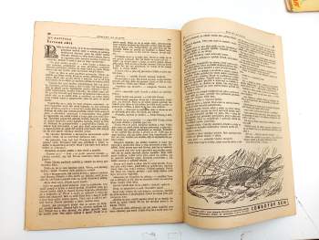 Eduard Kirchberger: Zápas o kaučuk, Rodokaps 306 (45), VI. ročník