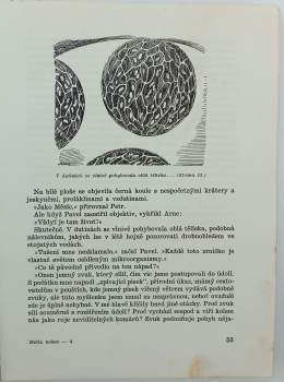 J. M Troska: Metla nebes