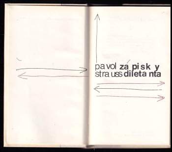 Pavol Strauss: Zápisky diletanta