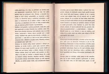 Rainer Maria Rilke: Zápisky Malta Lauridse Brigge