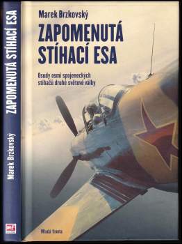 Zapomenutá stíhací esa