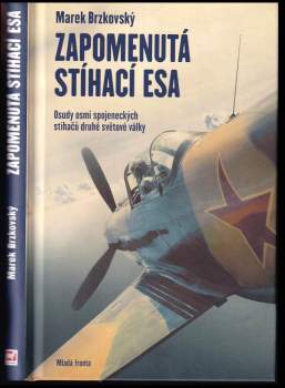 Marek Brzkovský: Zapomenutá stíhací esa