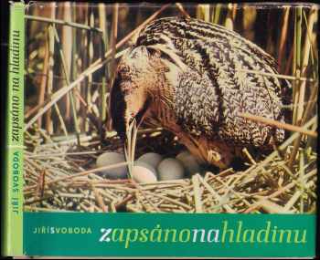 Zapsáno na hladinu