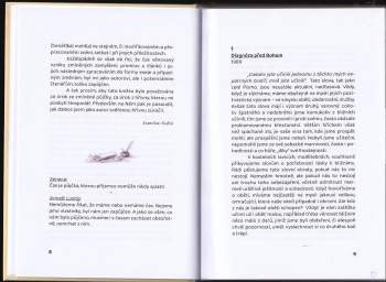 Stanislav Kubín: Zapůjčený čas
