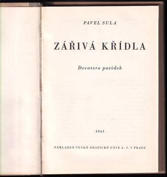 Pavel Sula: Zářivá křídla