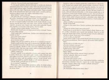 Lee Child: Zásah